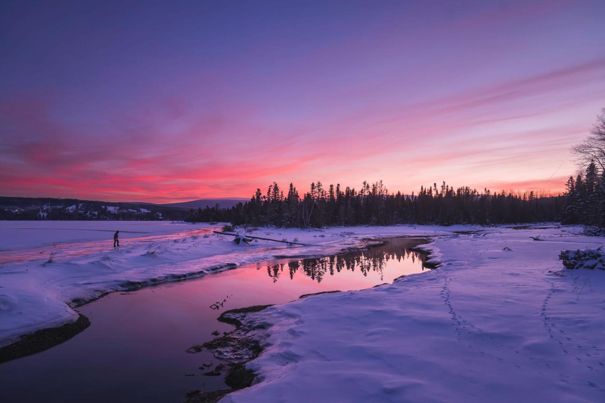 Chalets Du Bout Du Monde Gaspé Екстериор снимка