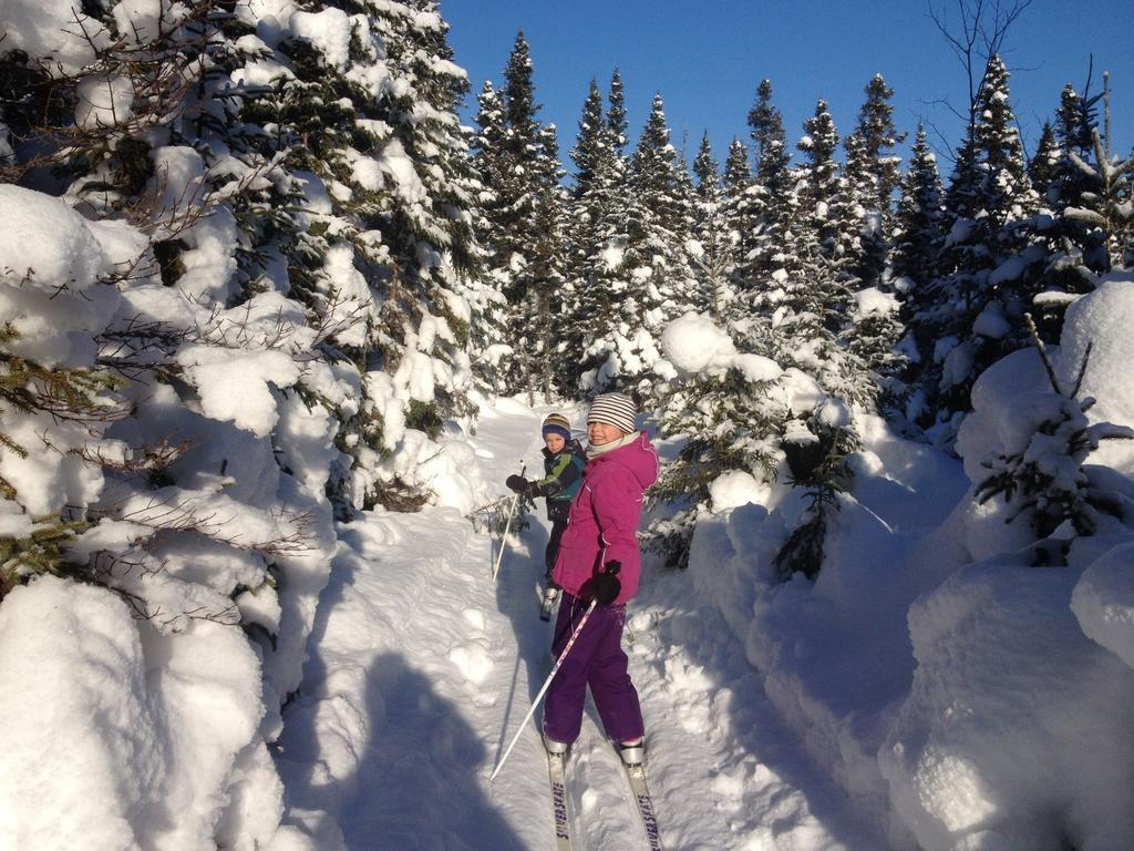 Chalets Du Bout Du Monde Gaspé Екстериор снимка